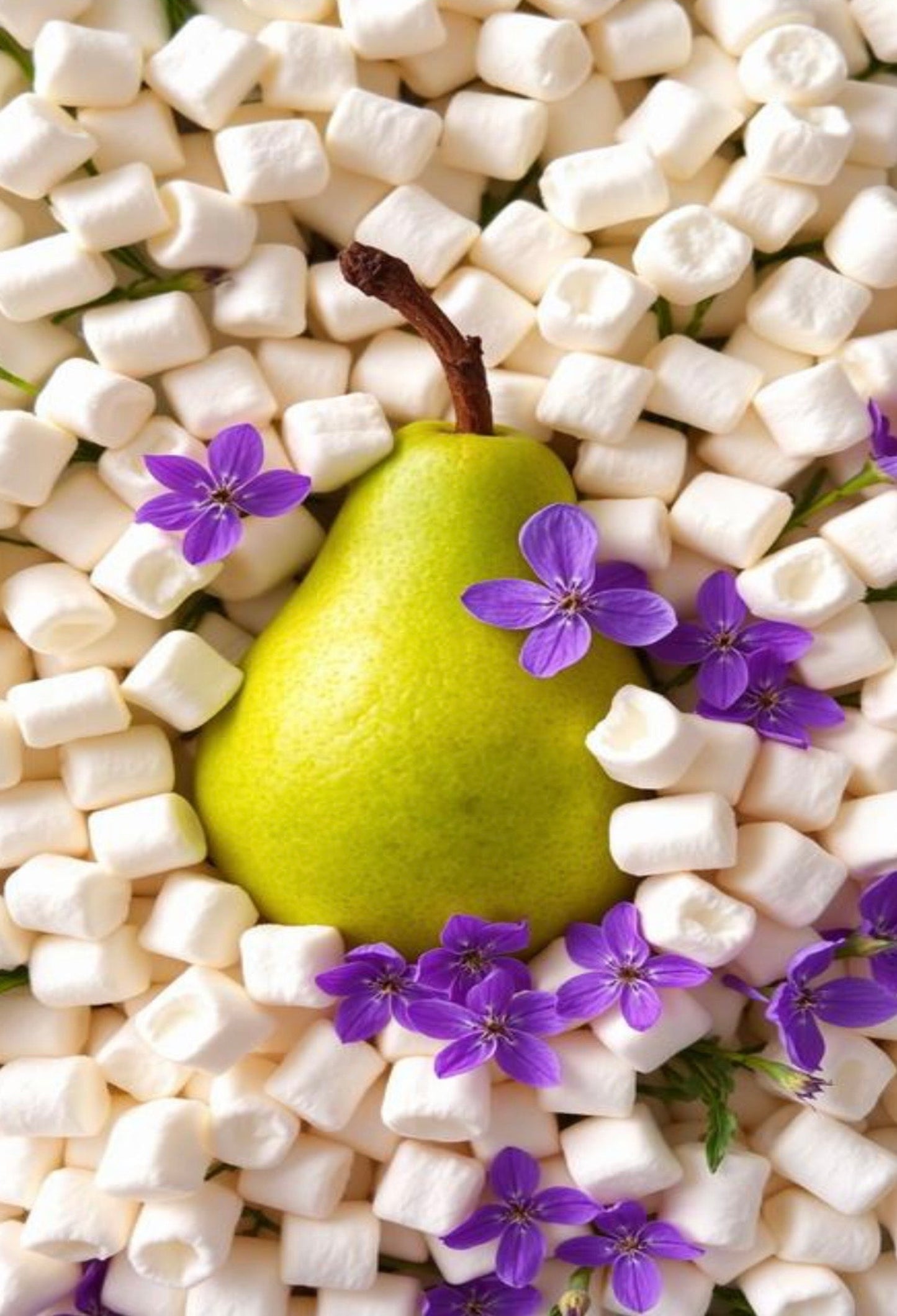Marshmallow Pear Body Oil